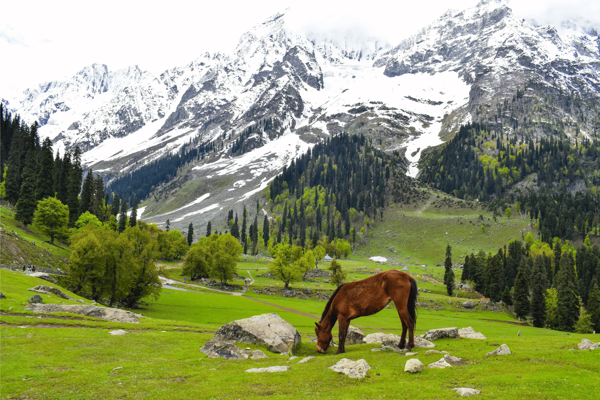 SRINAGAR, PAHALGAM, HOUSEBOAT
