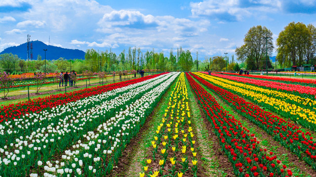 SRINAGAR, PAHALGAM
