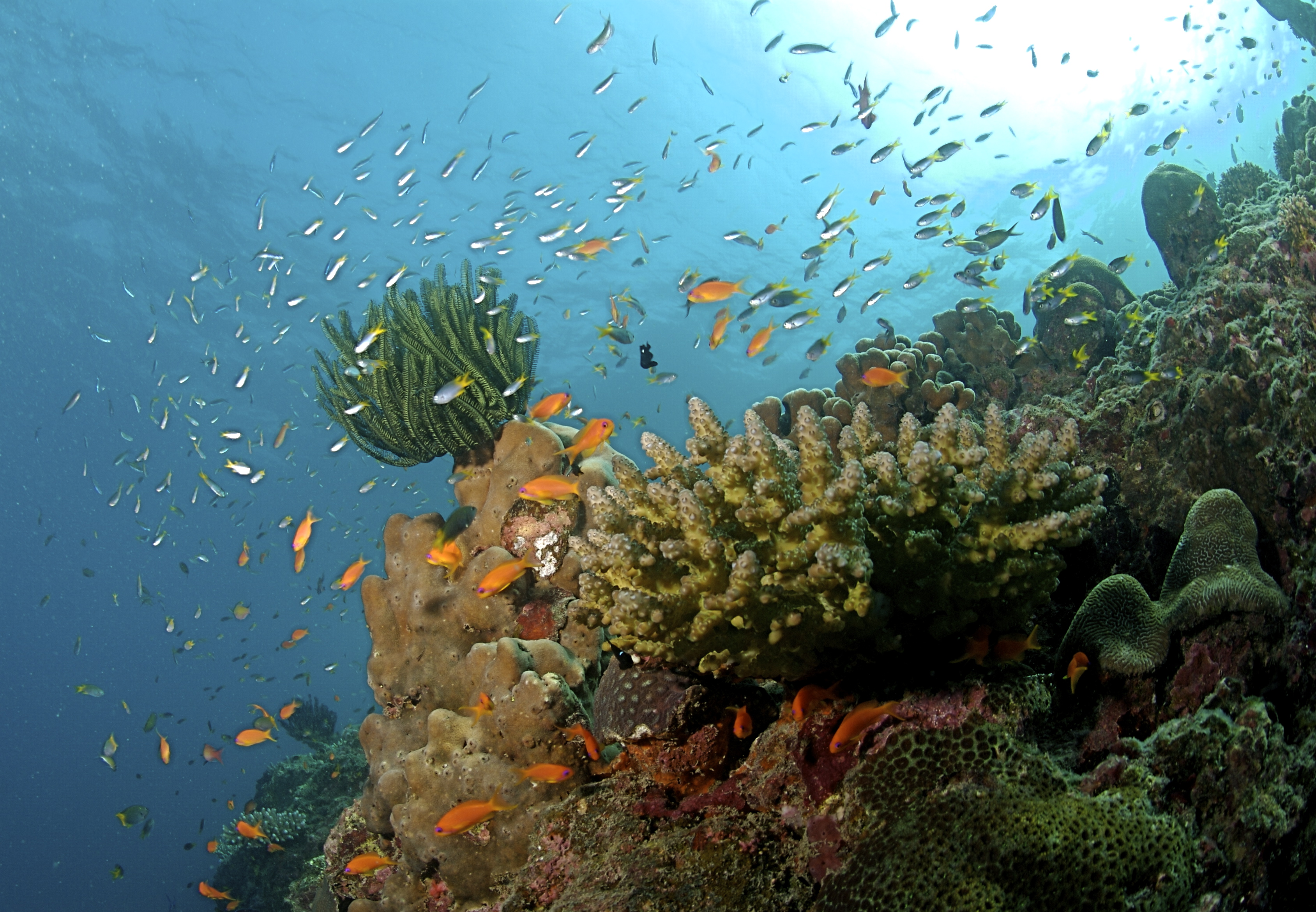 Port Blair