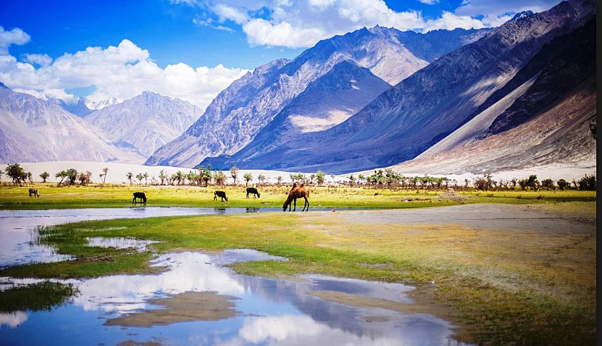 LEH, NUBRA, PANGONG