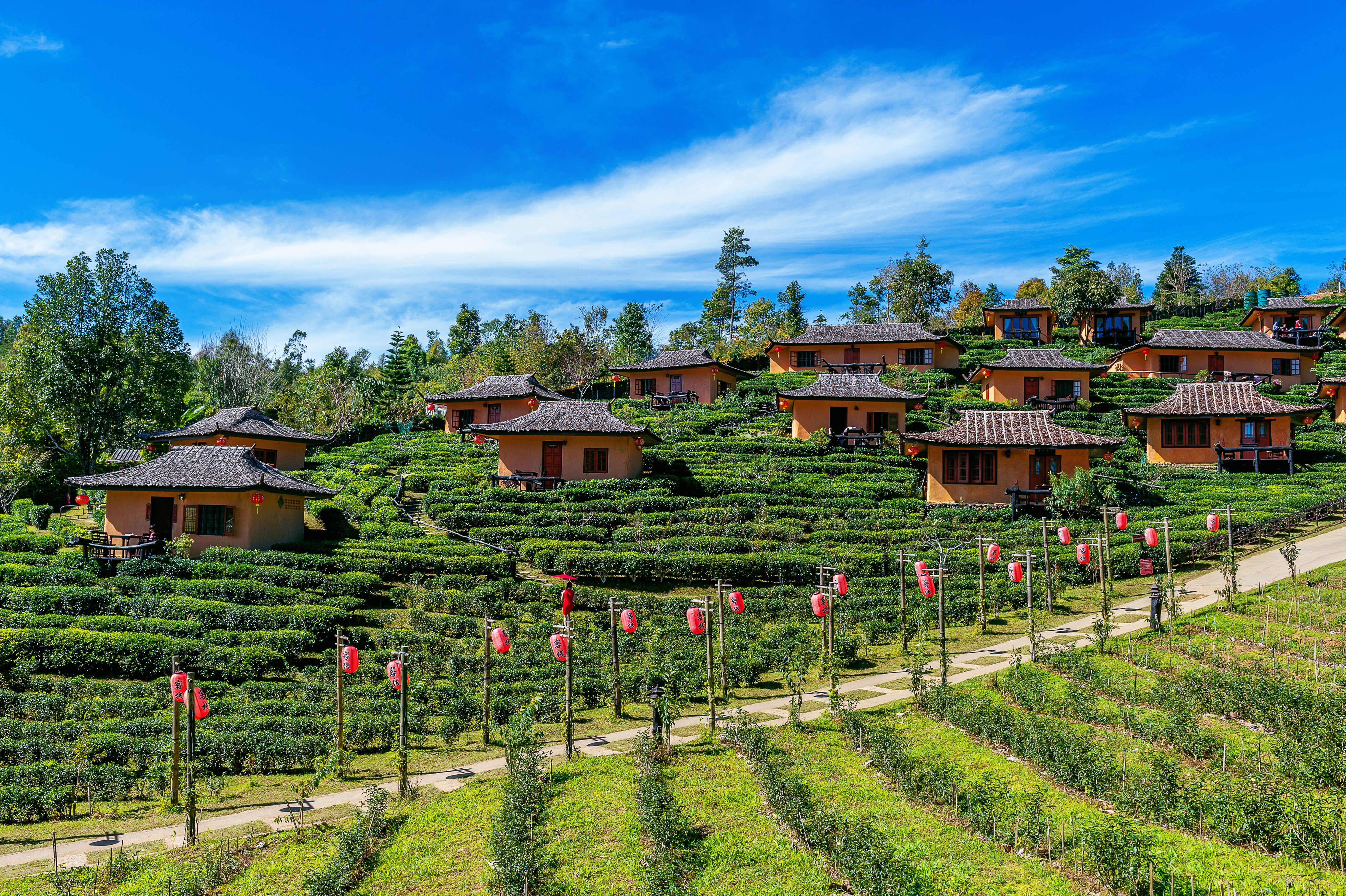 Delhi – Corbett – Ranikhet - Kausani – Nainital – Delhi