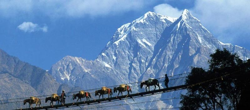 GANGTOK, PELLING & DARJEELING