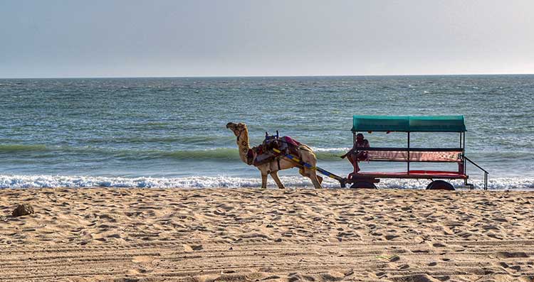 Dholavira, Rann of Kutch, Bhuj